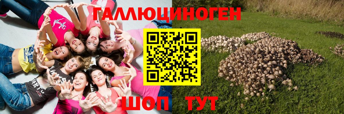 Псилоцибиновые грибы Magic Shrooms Таганрог