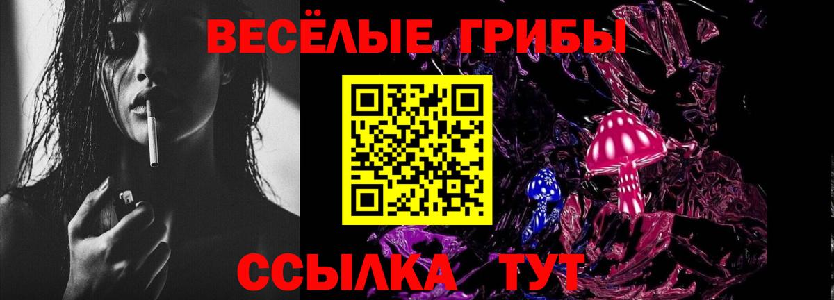 Таганрог  Псилоцибиновые грибы прущие грибы  Вход с VPN 